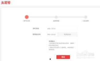 怎么注册我的头条号呢,头条号注册全攻略