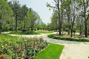 开封头条南湖公园,开封市民休闲新地标
