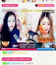 网红故事集锦全集,揭秘网络红人背后的故事集锦