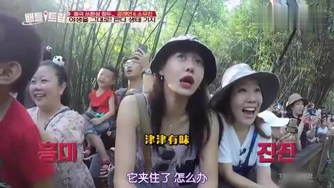 明星来成都看孩子,温馨育儿瞬间大揭秘