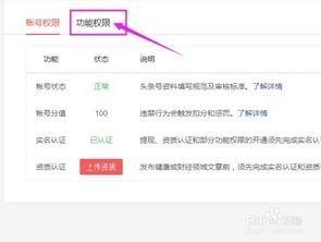 头条自动开通原创标签吗,揭秘内容创作者的权益新篇章
