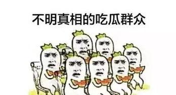 山寨吃瓜,网络热词背后的文化现象与娱乐生态