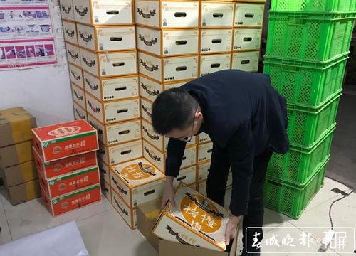 网红双十一卖什么产品,揭秘热门产品热销秘诀