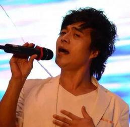 唐山来明星,璀璨星光下的传奇故事